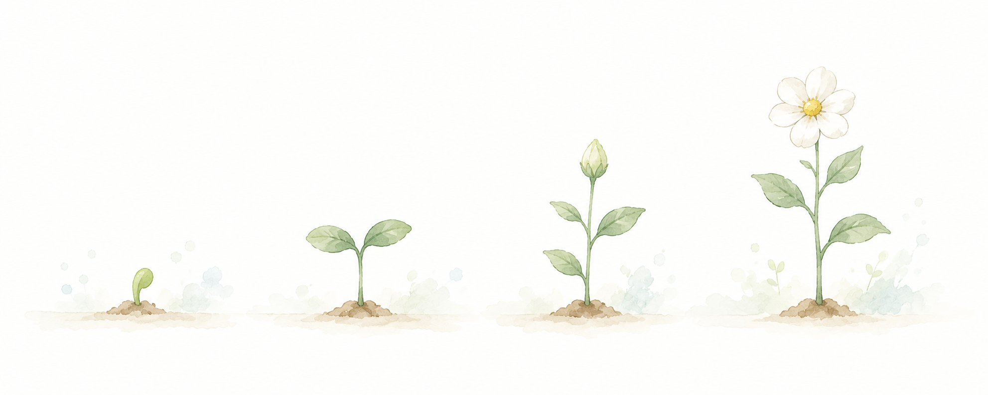 芽から花へ、少しずつ育っていく道のり